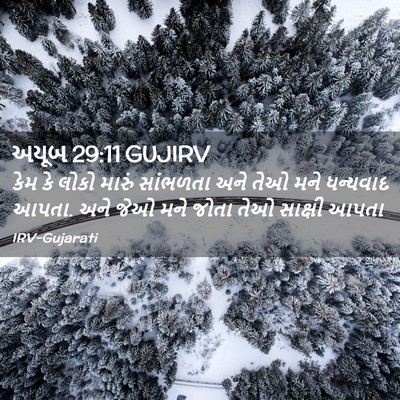 Picture 02 - અયૂબ 29:11 GUJIRV - કેમ કે લોકો મારું - Bible Verse Picture