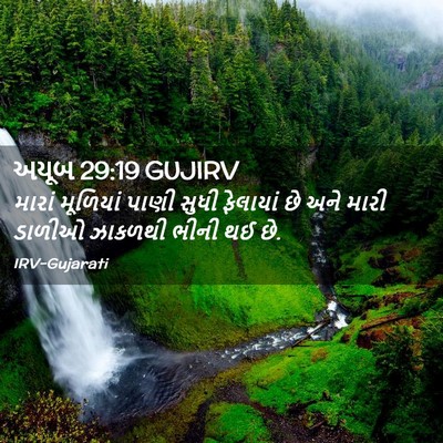 Picture 02 - અયૂબ 29:19 GUJIRV - મારાં મૂળિયાં - Bible Verse Picture