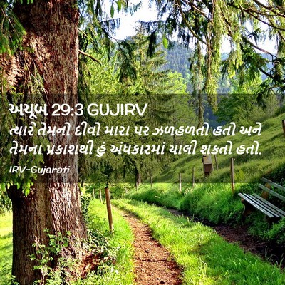 Picture 02 - અયૂબ 29:3 GUJIRV - ત્યારે તેમનો દીવો - Bible Verse Picture