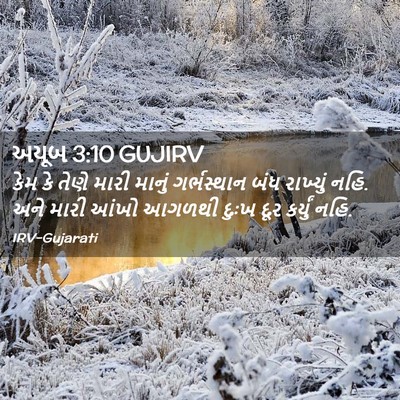 Picture 02 - અયૂબ 3:10 GUJIRV - કેમ કે તેણે મારી - Bible Verse Picture