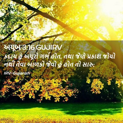 Picture 02 - અયૂબ 3:16 GUJIRV - કદાચ હું અધૂરો - Bible Verse Picture
