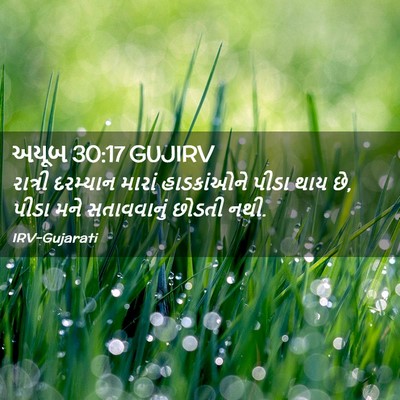 Picture 02 - અયૂબ 30:17 GUJIRV - રાત્રી દરમ્યાન - Bible Verse Picture