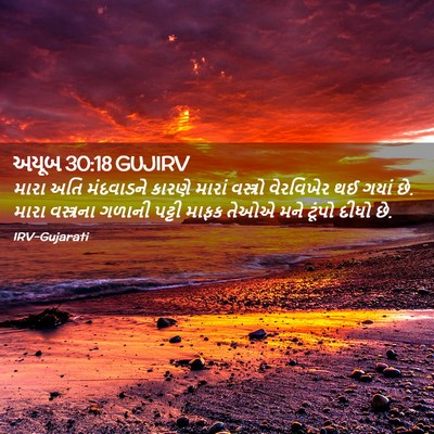 Picture 02 - અયૂબ 30:18 GUJIRV - મારા અતિ મંદવાડને - Bible Verse Picture