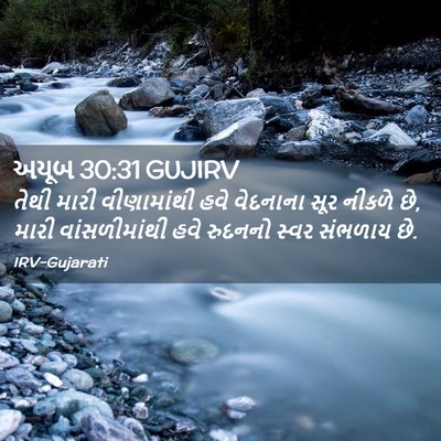 Picture 02 - અયૂબ 30:31 GUJIRV - તેથી મારી - Bible Verse Picture