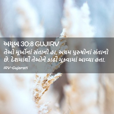 Picture 02 - અયૂબ 30:8 GUJIRV - તેઓ મૂર્ખોનાં - Bible Verse Picture