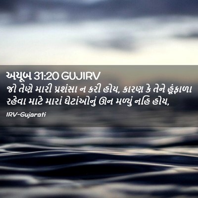 Picture 02 - અયૂબ 31:20 GUJIRV - જો તેણે મારી - Bible Verse Picture