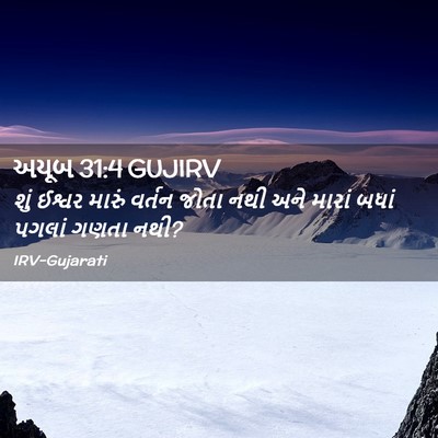 Picture 02 - અયૂબ 31:4 GUJIRV - શું ઈશ્વર મારું - Bible Verse Picture