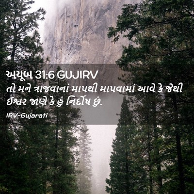 Picture 02 - અયૂબ 31:6 GUJIRV - તો મને ત્રાજવાનાં - Bible Verse Picture