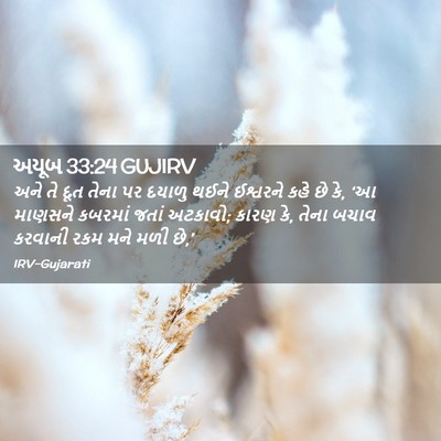 Picture 02 - અયૂબ 33:24 GUJIRV - અને તે દૂત તેના પર - Bible Verse Picture