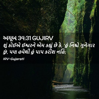 Picture 02 - અયૂબ 34:31 GUJIRV - શું કોઈએ ઈશ્વરને - Bible Verse Picture