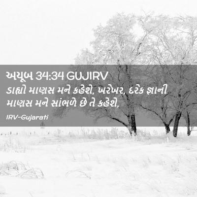 Picture 02 - અયૂબ 34:34 GUJIRV - ડાહ્યો માણસ મને - Bible Verse Picture
