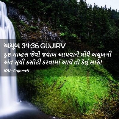 Picture 02 - અયૂબ 34:36 GUJIRV - દુષ્ટ માણસ જેવો - Bible Verse Picture