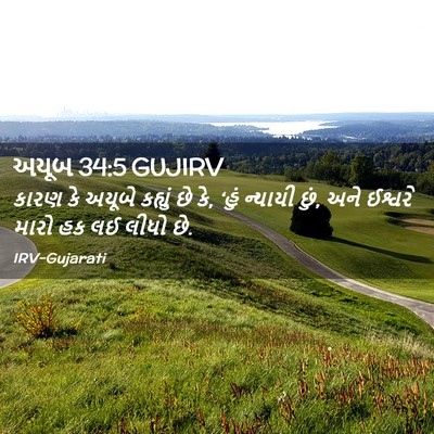 Picture 02 - અયૂબ 34:5 GUJIRV - કારણ કે અયૂબે - Bible Verse Picture