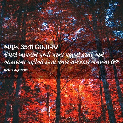 Picture 02 - અયૂબ 35:11 GUJIRV - જેમણે આપણને - Bible Verse Picture