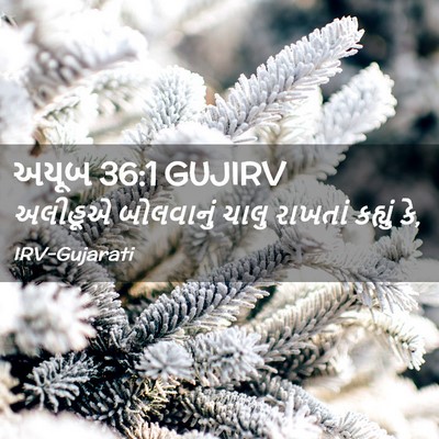 Picture 02 - અયૂબ 36:1 GUJIRV - અલીહૂએ બોલવાનું - Bible Verse Picture