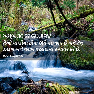 Picture 02 - અયૂબ 36:27 GUJIRV - તેઓ પાણીનાં - Bible Verse Picture