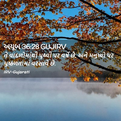 Picture 02 - અયૂબ 36:28 GUJIRV - તે વાદળોમાંથી - Bible Verse Picture