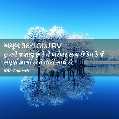 Picture 02 - અયૂબ 36:4 GUJIRV - હું તને જણાવું છું - Bible Verse Picture