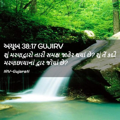 Picture 02 - અયૂબ 38:17 GUJIRV - શું મરણદ્વારો - Bible Verse Picture