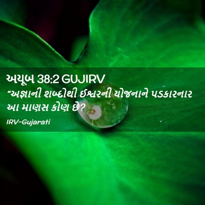 Picture 02 - અયૂબ 38:2 GUJIRV - “અજ્ઞાની શબ્દોથી - Bible Verse Picture