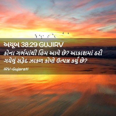 Picture 02 - અયૂબ 38:29 GUJIRV - કોના ગર્ભમાંથી - Bible Verse Picture