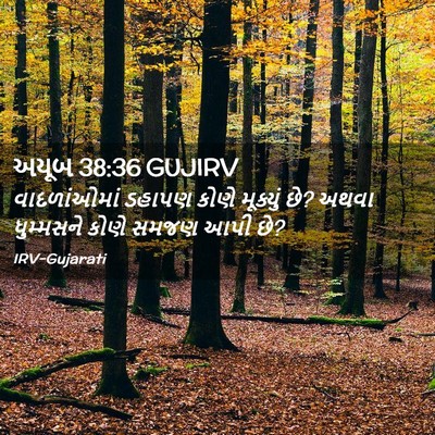 Picture 02 - અયૂબ 38:36 GUJIRV - વાદળાંઓમાં ડહાપણ - Bible Verse Picture