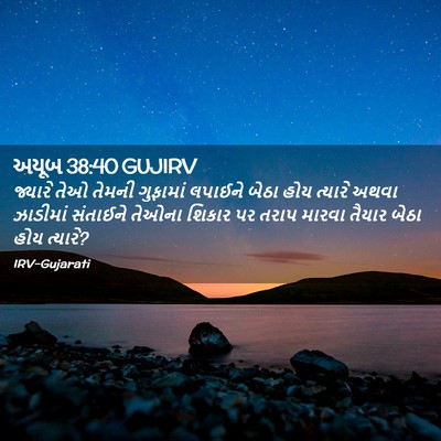 Picture 02 - અયૂબ 38:40 GUJIRV - જ્યારે તેઓ તેમની - Bible Verse Picture
