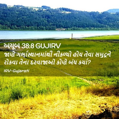 Picture 02 - અયૂબ 38:8 GUJIRV - જાણે - Bible Verse Picture