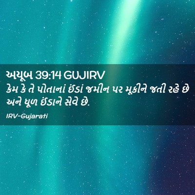 Picture 02 - અયૂબ 39:14 GUJIRV - કેમ કે તે પોતાનાં - Bible Verse Picture