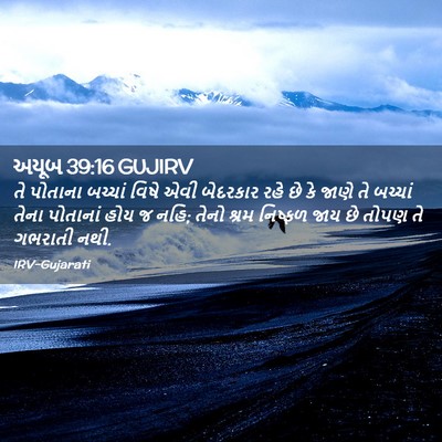 Picture 02 - અયૂબ 39:16 GUJIRV - તે પોતાના બચ્ચાં - Bible Verse Picture