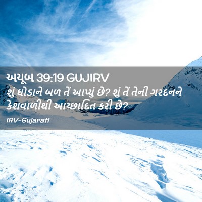 Picture 02 - અયૂબ 39:19 GUJIRV - શું ઘોડાને બળ તેં - Bible Verse Picture