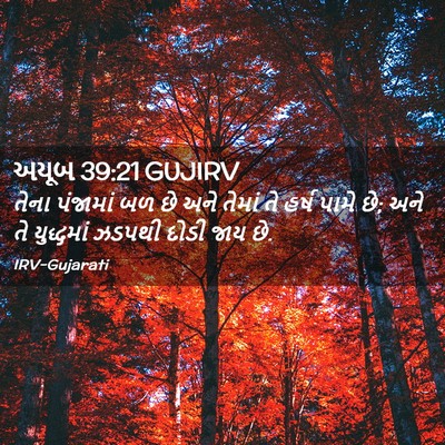 Picture 02 - અયૂબ 39:21 GUJIRV - તેના પંજામાં બળ છે - Bible Verse Picture