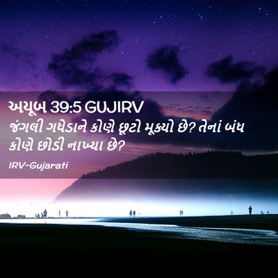 Picture 02 - અયૂબ 39:5 GUJIRV - જંગલી ગધેડાને - Bible Verse Picture