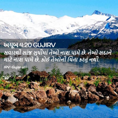 Picture 02 - અયૂબ 4:20 GUJIRV - સવારથી સાંજ - Bible Verse Picture