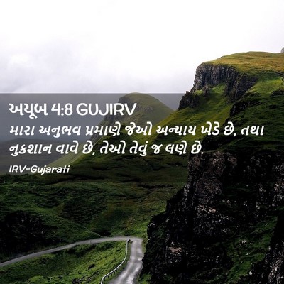 Picture 02 - અયૂબ 4:8 GUJIRV - મારા અનુભવ - Bible Verse Picture