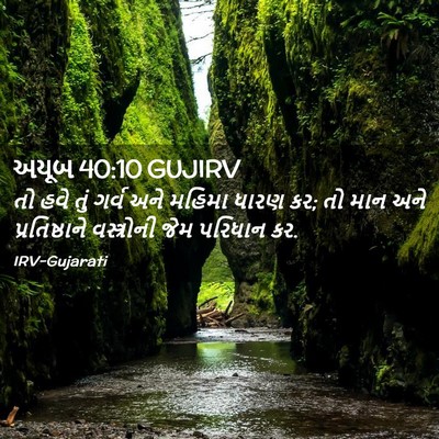 Picture 02 - અયૂબ 40:10 GUJIRV - તો હવે તું ગર્વ અને - Bible Verse Picture