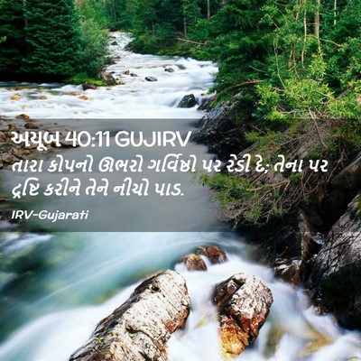 Picture 02 - અયૂબ 40:11 GUJIRV - તારા કોપનો ઊભરો - Bible Verse Picture