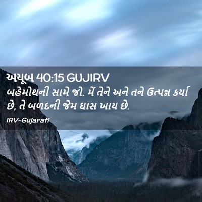 Picture 02 - અયૂબ 40:15 GUJIRV - બહેમોથની સામે જો. - Bible Verse Picture
