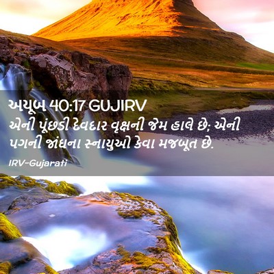 Picture 02 - અયૂબ 40:17 GUJIRV - એની પૂંછડી દેવદાર - Bible Verse Picture