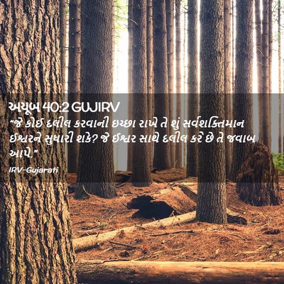 Picture 02 - અયૂબ 40:2 GUJIRV - “જે કોઈ દલીલ - Bible Verse Picture
