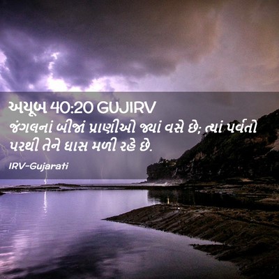 Picture 02 - અયૂબ 40:20 GUJIRV - જંગલનાં બીજાં - Bible Verse Picture
