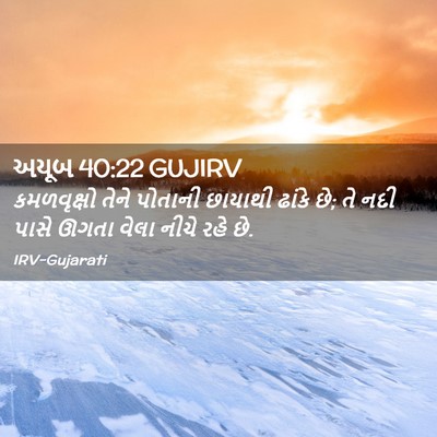 Picture 02 - અયૂબ 40:22 GUJIRV - કમળવૃક્ષો તેને - Bible Verse Picture