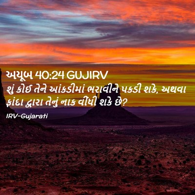 Picture 02 - અયૂબ 40:24 GUJIRV - શું કોઈ તેને - Bible Verse Picture