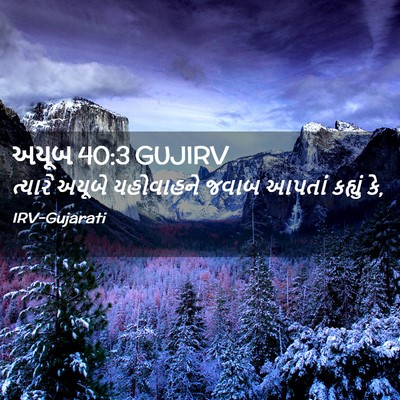 Picture 02 - અયૂબ 40:3 GUJIRV - ત્યારે અયૂબે - Bible Verse Picture