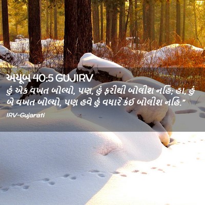 Picture 02 - અયૂબ 40:5 GUJIRV - હું એક વખત બોલ્યો, - Bible Verse Picture