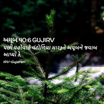 Picture 02 - અયૂબ 40:6 GUJIRV - પછી યહોવાહે - Bible Verse Picture