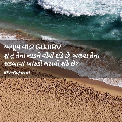 Picture 02 - અયૂબ 41:2 GUJIRV - શું તું તેના નાકને - Bible Verse Picture