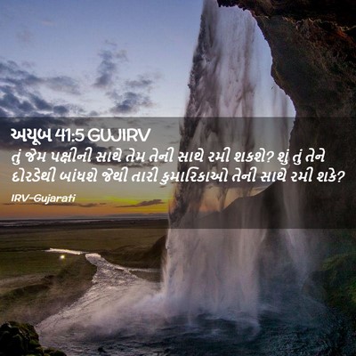 Picture 02 - અયૂબ 41:5 GUJIRV - તું જેમ પક્ષીની - Bible Verse Picture