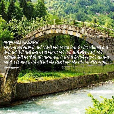 Picture 02 - અયૂબ 42:11 GUJIRV - અયૂબના સર્વ ભાઈઓ, - Bible Verse Picture