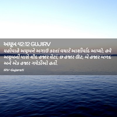 Picture 02 - અયૂબ 42:12 GUJIRV - યહોવાહે અયૂબને - Bible Verse Picture